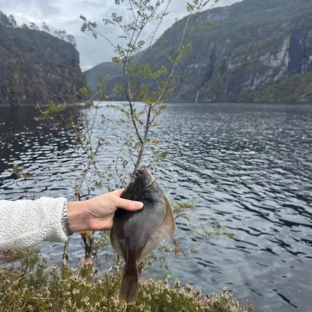 Modalen Fjord * Mo (Hordaland)